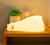 Shining Duck | Cool night lamp