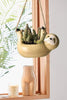 Cute Sloth | Charming Pot