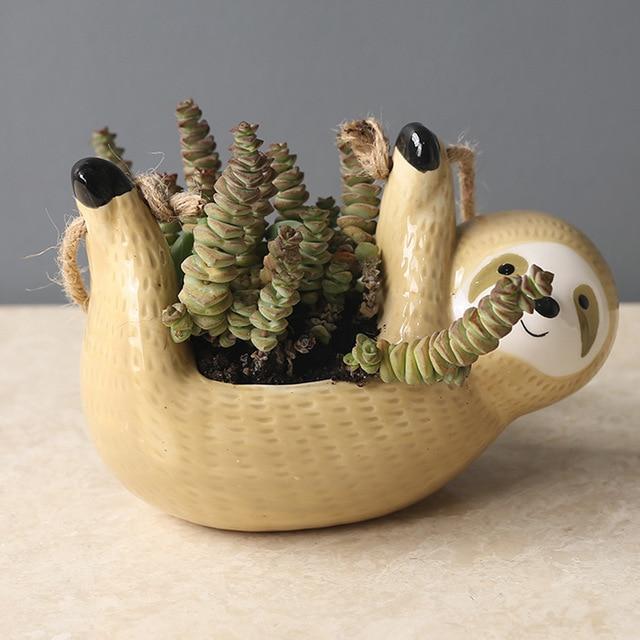 Cute Sloth | Charming Pot